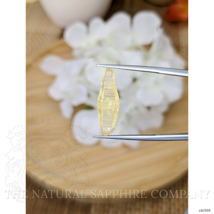 6.80 Ct. Yellow Sapphire from Ceylon (Sri Lanka)