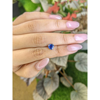 1.31 Ct. Blue Sapphire from Ceylon (Sri Lanka) Life Style