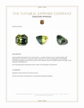 2.01 Ct. Bi Color / Parti Sapphire from Madagascar Appraisal