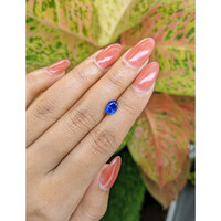 1.54 Ct. Blue Sapphire from Ceylon (Sri Lanka) Life Style