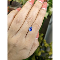 1.27 Ct. Blue Sapphire from Ceylon (Sri Lanka) Life Style