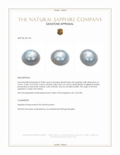 18.88 Ct. Greyish Blue Star Sapphire from Ceylon (Sri Lanka) Appraisal