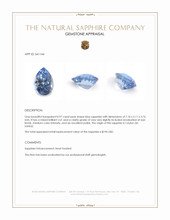 0.97 Ct. Blue Sapphire from Ceylon (Sri Lanka) Appraisal