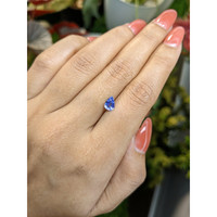 0.74 Ct. Blue Sapphire from Ceylon (Sri Lanka) Life Style