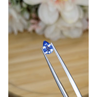 0.74 Ct. Blue Sapphire from Ceylon (Sri Lanka) Life Style