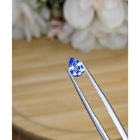 0.81 Ct. Blue Sapphire from Ceylon (Sri Lanka) Life Style