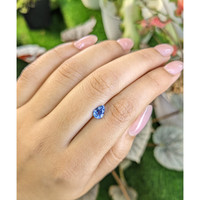 0.97 Ct. Blue Sapphire from Ceylon (Sri Lanka) Life Style