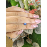 0.97 Ct. Blue Sapphire from Ceylon (Sri Lanka) Life Style