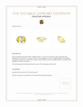 2.65 Ct. Yellow Sapphire from Ceylon (Sri Lanka) Appraisal