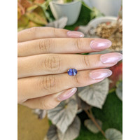 1.65 Ct. Violet Sapphire from Ceylon (Sri Lanka) Life Style