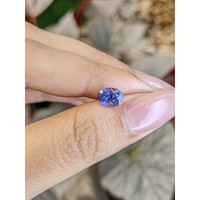 1.65 Ct. Violet Sapphire from Ceylon (Sri Lanka) Life Style