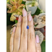 1.28 Ct. Blue Sapphire from Ceylon (Sri Lanka) Life Style