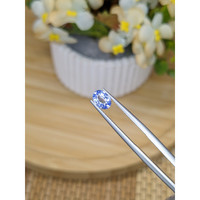 0.70 Ct. Blue Sapphire from Ceylon (Sri Lanka) Life Style