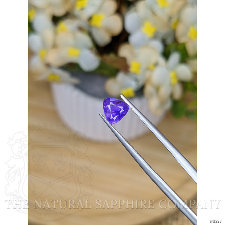 1.16 Ct. Purple Sapphire from Ceylon (Sri Lanka)