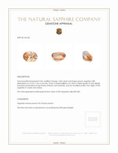Jewelry Appraisal
