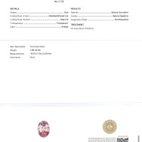 Jewelry Scan Report
