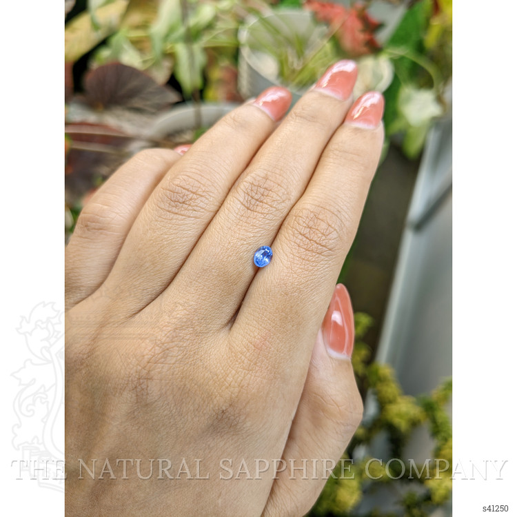 0.49 Ct. Blue Sapphire from Ceylon (Sri Lanka)