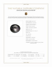 3.24 Ct. Brown Star Sapphire from Ceylon (Sri Lanka) Scan Report