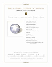 Jewelry Scan Report