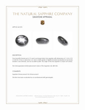 6.73 Ct. Black Star Sapphire from Ceylon (Sri Lanka) Appraisal