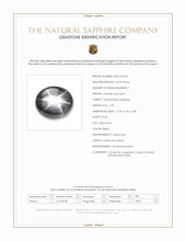 6.73 Ct. Black Star Sapphire from Ceylon (Sri Lanka) Scan Report