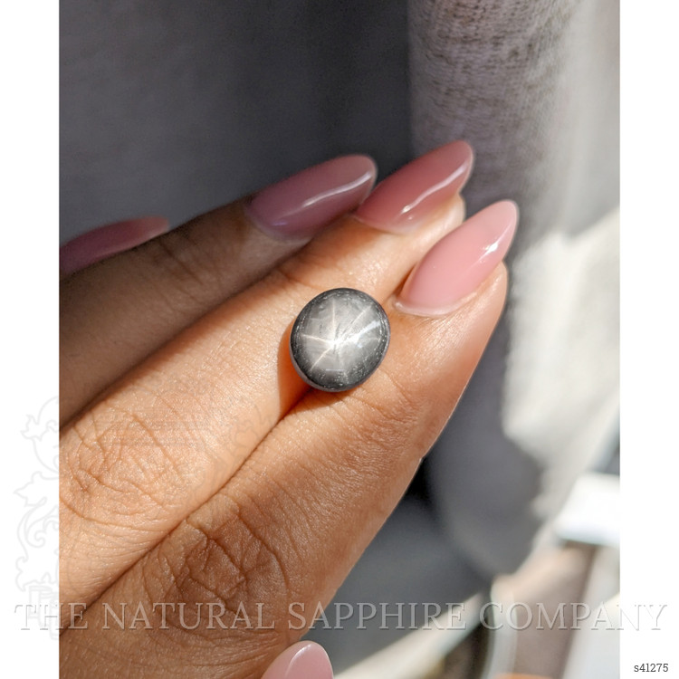 6.73 Ct. Black Star Sapphire from Ceylon (Sri Lanka)