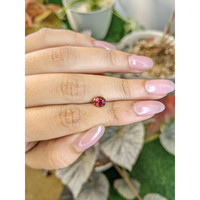 1.23 Ct. Padparadscha Sapphire from Ceylon (Sri Lanka) Life Style