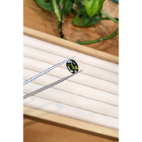 4.11 Ct. Yellowish Green Sapphire from Madagascar Life Style