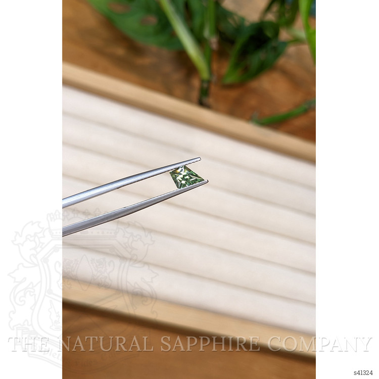 0.86 Ct. Bluish Green Sapphire from Montana