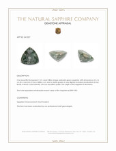 1.01 Ct. Yellowish Green Sapphire from Montana Appraisal