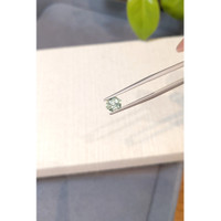 1.00 Ct. Green Sapphire from Montana Life Style