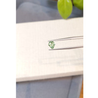 1.10 Ct. Green Sapphire from Montana Life Style