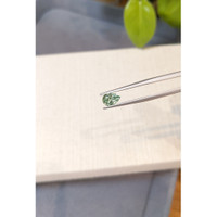 1.14 Ct. Green Sapphire from Montana Life Style
