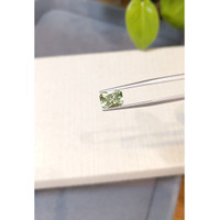 2.76 Ct. Yellowish Green Sapphire from Montana Life Style
