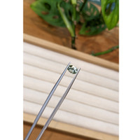 0.86 Ct. Bluish Green Sapphire from Montana Life Style