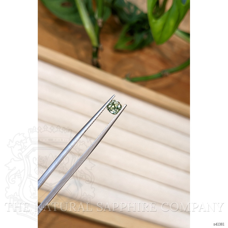 0.90 Ct. Green Sapphire from Montana