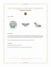 0.92 Ct. Bluish Green Sapphire from Montana Appraisal