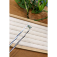 0.92 Ct. Green Sapphire from Montana Life Style
