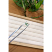 0.93 Ct. Green Sapphire from Montana Life Style
