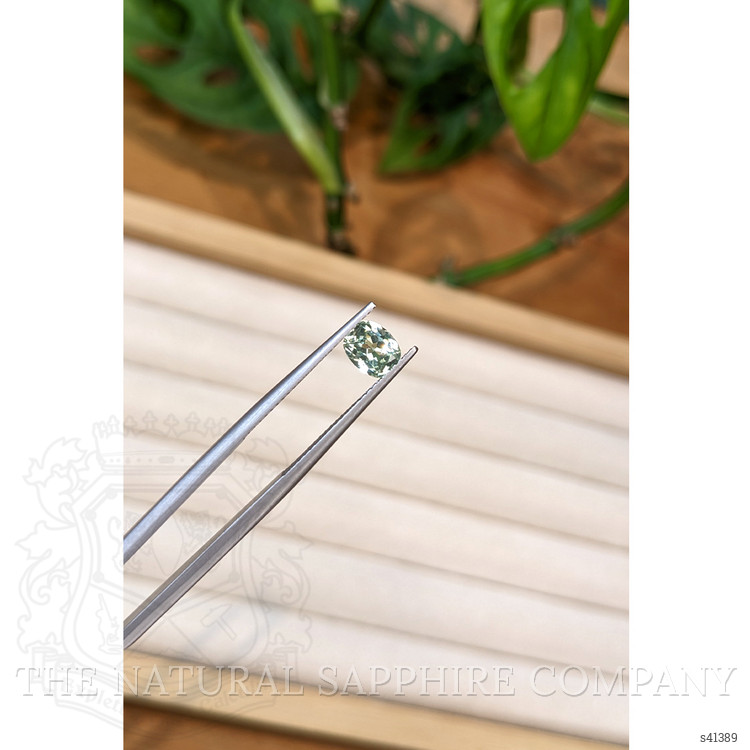0.91 Ct. Yellowish Green Sapphire from Montana