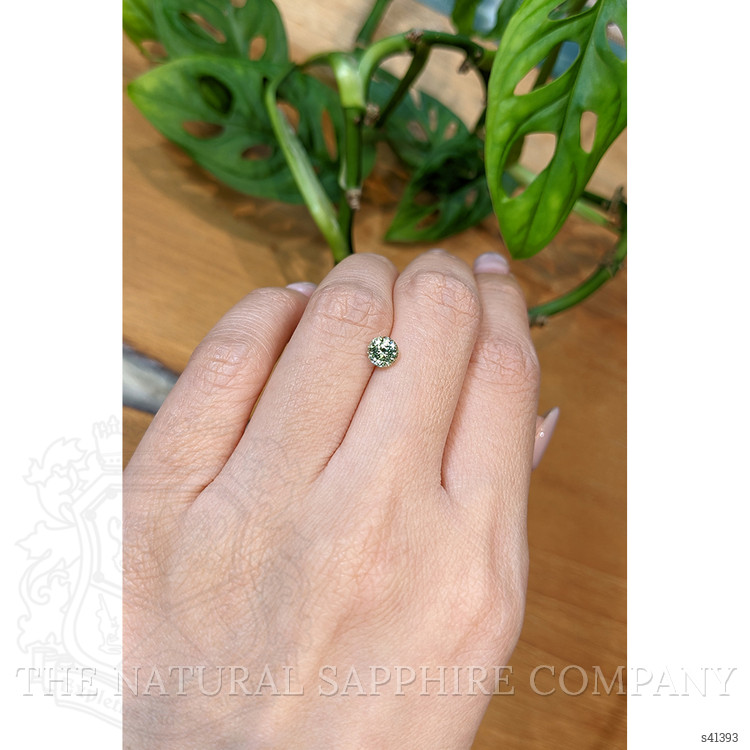 0.91 Ct. Green Sapphire from Montana