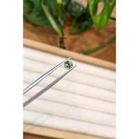 0.91 Ct. Green Sapphire from Montana Life Style