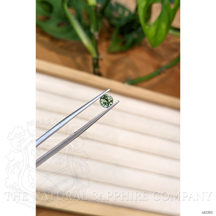 0.91 Ct. Green Sapphire from Montana