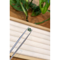 0.88 Ct. Green Sapphire from Montana Life Style