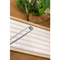 1.09 Ct. Green Sapphire from Montana Life Style