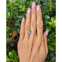 2.35 Ct. Blue Sapphire from Ceylon (Sri Lanka) Life Style
