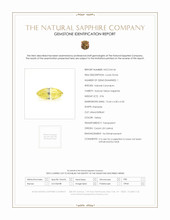 Jewelry Scan Report