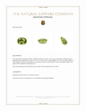 Jewelry Appraisal