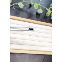 1.53 Ct. Blue Sapphire from Australia Life Style
