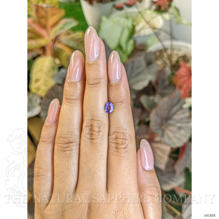 0.71 Ct. Purple Sapphire from Ceylon (Sri Lanka)